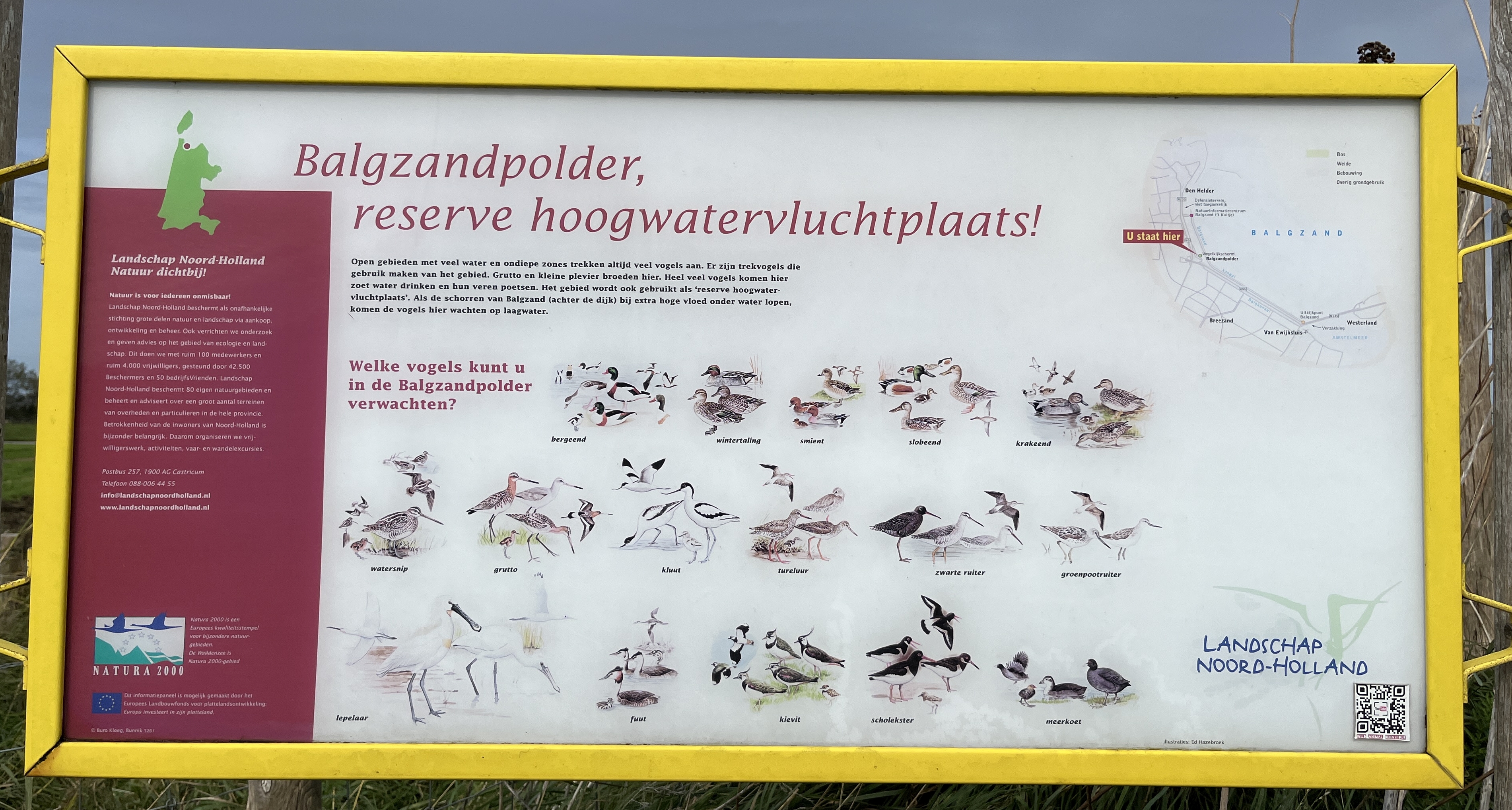 Balgzandpolder (Texel). Foto van Gerda van der Meer.